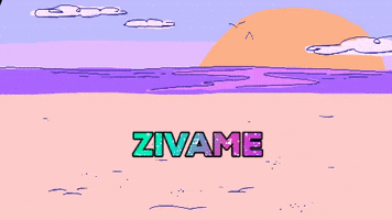 Zivame GIF