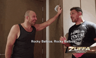 Rocky Balboa Fight GIF by UFC