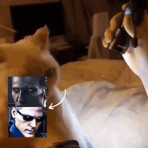 Resident Evil Cat GIF