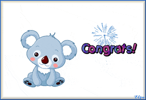 Koala Bear Congrats GIF