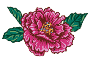 Bgbiancaggibon Sticker by BG