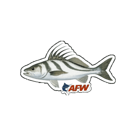 Fish Rooster Sticker by AFW Fishing Brands