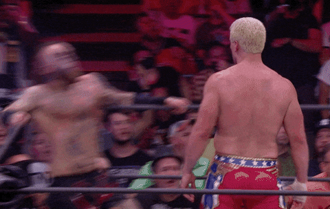 Pro Wrestling Sport GIF by ALL ELITE WRESTLING - Find & Share on GIPHY