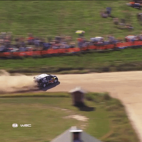 Ford Racing GIF by FIA World Rally Championship