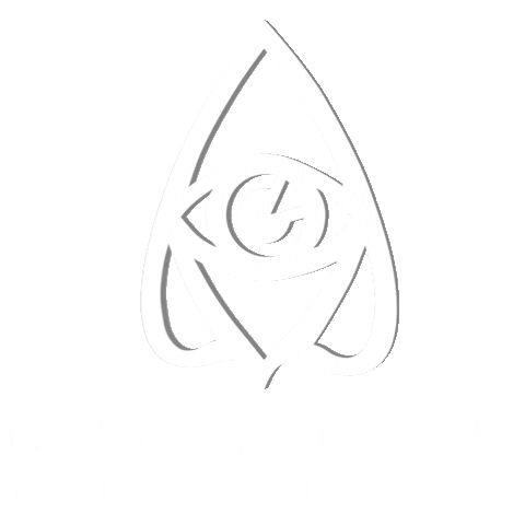 2961 Sticker by Paranormal Festival