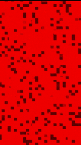 GIF by DigitalFems