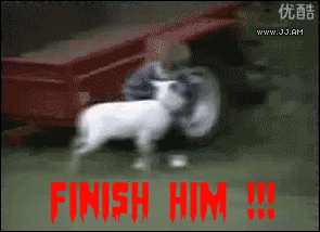 Image result for finish him gif