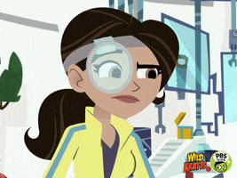 Looking Wild Kratts GIF by PBS KIDS