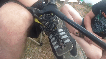 Summer Breeze GIF