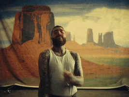 Chemical GIF by Post Malone