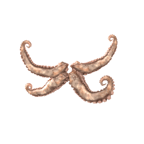 Superchillfoundation Sticker