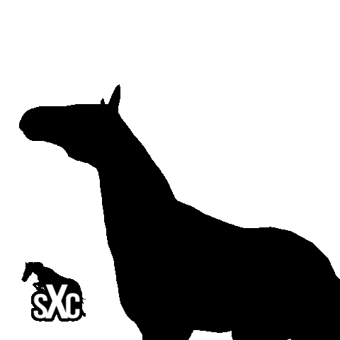 Sxc Sticker by Super X Country