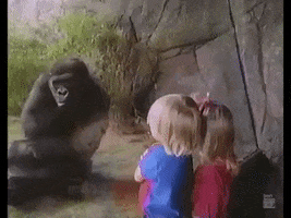 90S Zoo GIF
