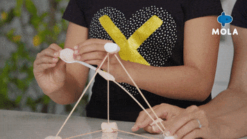 Fun Catapult GIF by Mola TV Kids