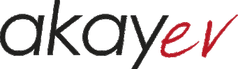 Akayev Sticker