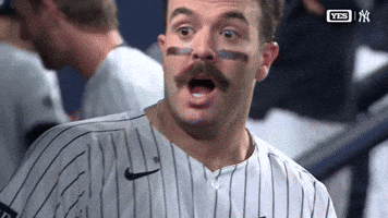 New York Yankees Sport GIF by MLB