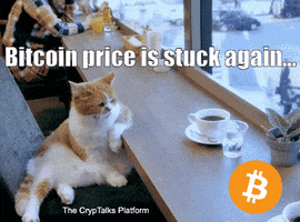 Bitcoin Cryptocurrency GIF by CrypTalks