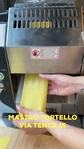 Mastro Tortello GIF