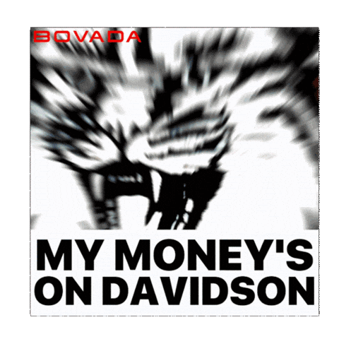 Davidson College Wildcats Sticker by Bovada