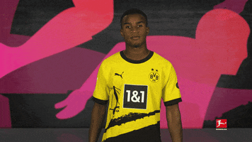 Borussia Dortmund Controller GIF by Bundesliga
