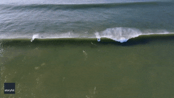 Beach Ocean GIF by Storyful