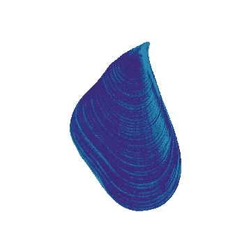 Norte Surf Fest Sticker