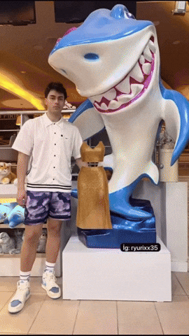 Emirvici GIF