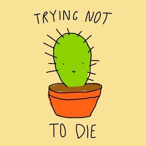 stickfiguregirl death die plant cactus GIF