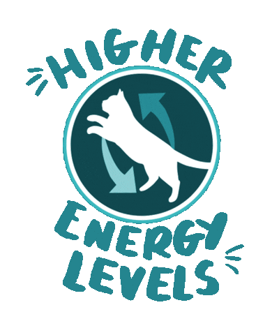 Purina Singapore Sticker