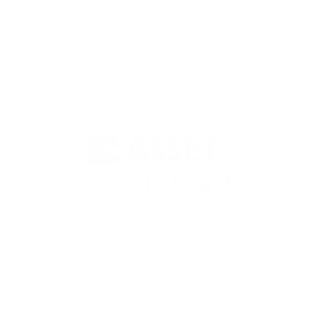 Asset Sticker