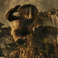 200.gif