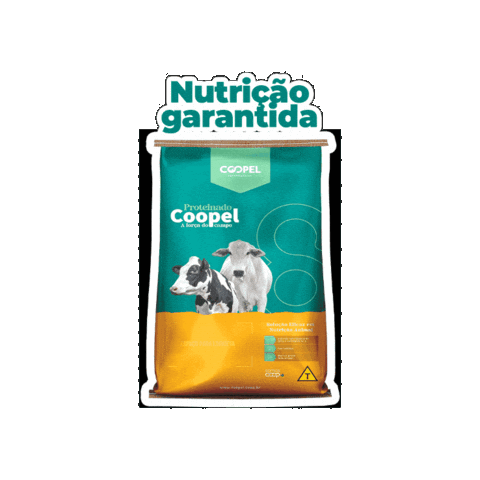 Boi Produtividade Sticker by Coopel Agronegócios