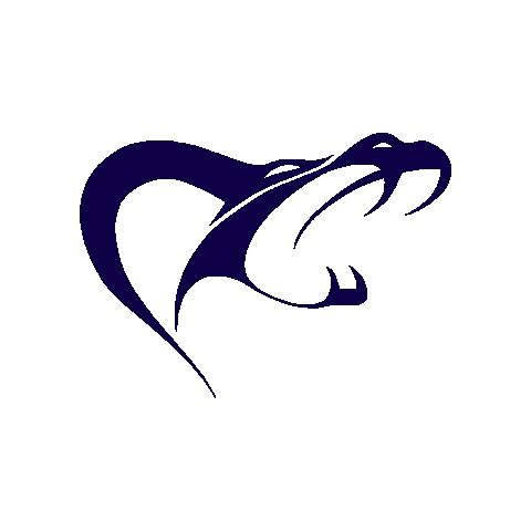 Football Sticker by Berlin Kobra Ladies