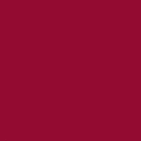UA International Student and Scholar Services GIF
