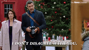 How To Fall In Love By The Holidays GIF by The Roku Channel