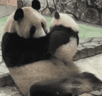 I Love You Baby Gifs Get The Best Gif On Giphy I Love You Baby Gifs Get The Best Gif On Giphy