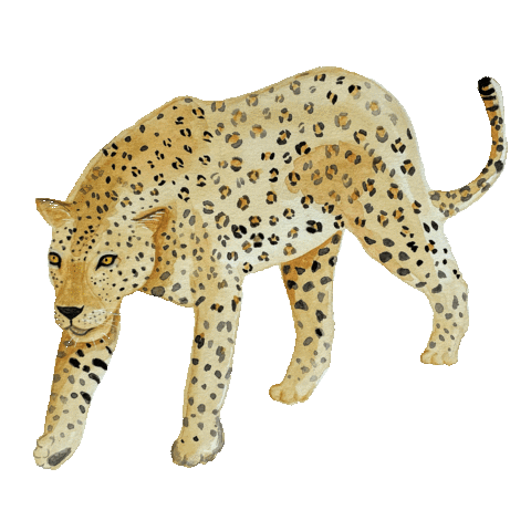 Studio Bianc Sticker