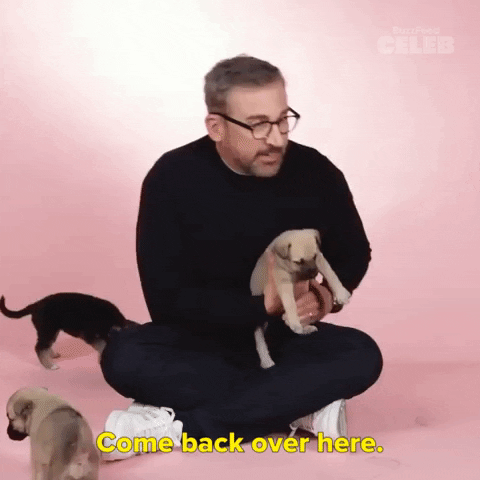 Come Here Steve Carell GIF by BuzzFeed