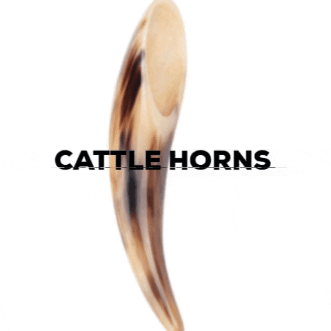 Decor Horn Online Best GIF