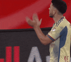 New York Red Bulls Applause GIF by Major League Soccer