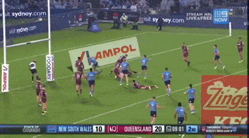 State Of Origin Nsw GIF