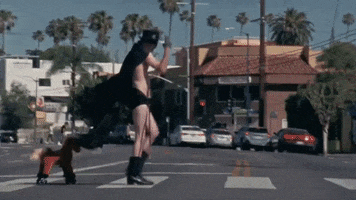 Horse Crossing GIF by PIXIES