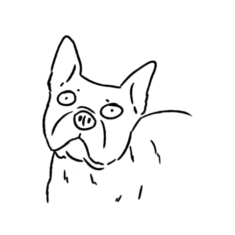 Scared Dog GIF by butpoorlydrawn