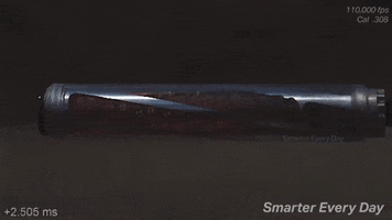 Suppressors GIF