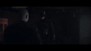 Fight GIF