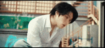 Lemon Drop Focus GIF