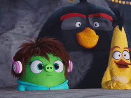 angrybirds wow surprised bomb chuck GIF
