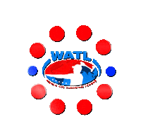 Perfect Game Watl Sticker by Bad Axe Throwing