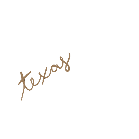Texas Sticker