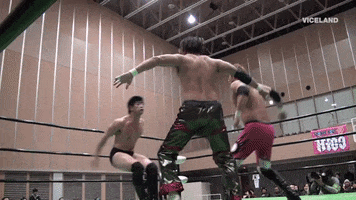 professional wrestling GIF by THE WRESTLERS